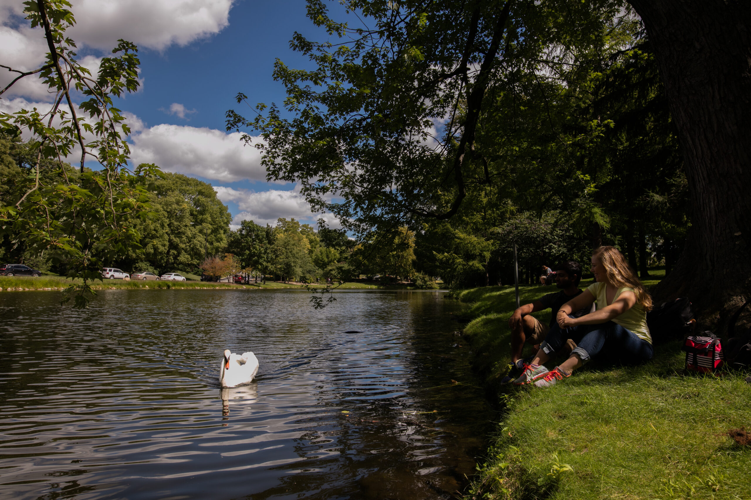Picture of Lake LaVerne with two students sitting on the shore. A swan is swimming past them.