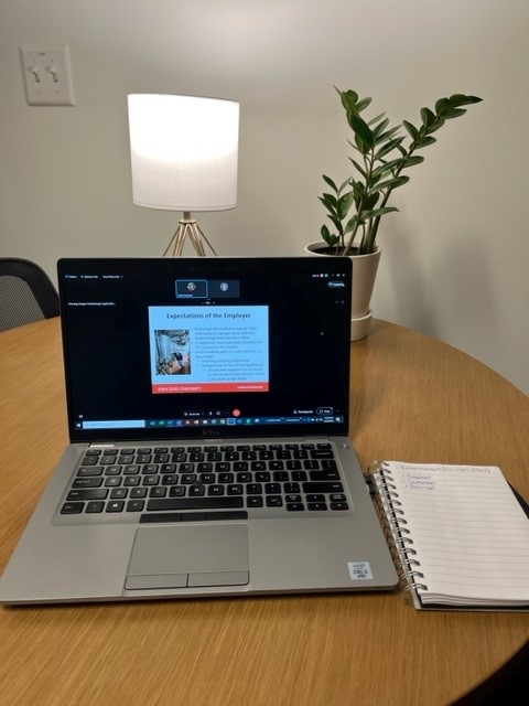 Image of a laptop displaying a webinar with a lamp and plant in the background.