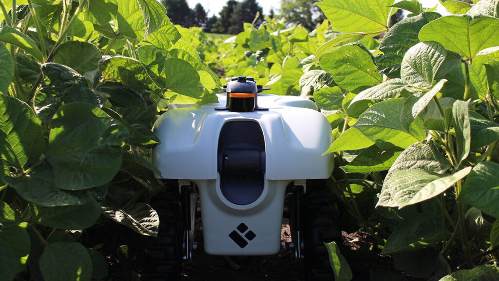 automous robot in soybean field