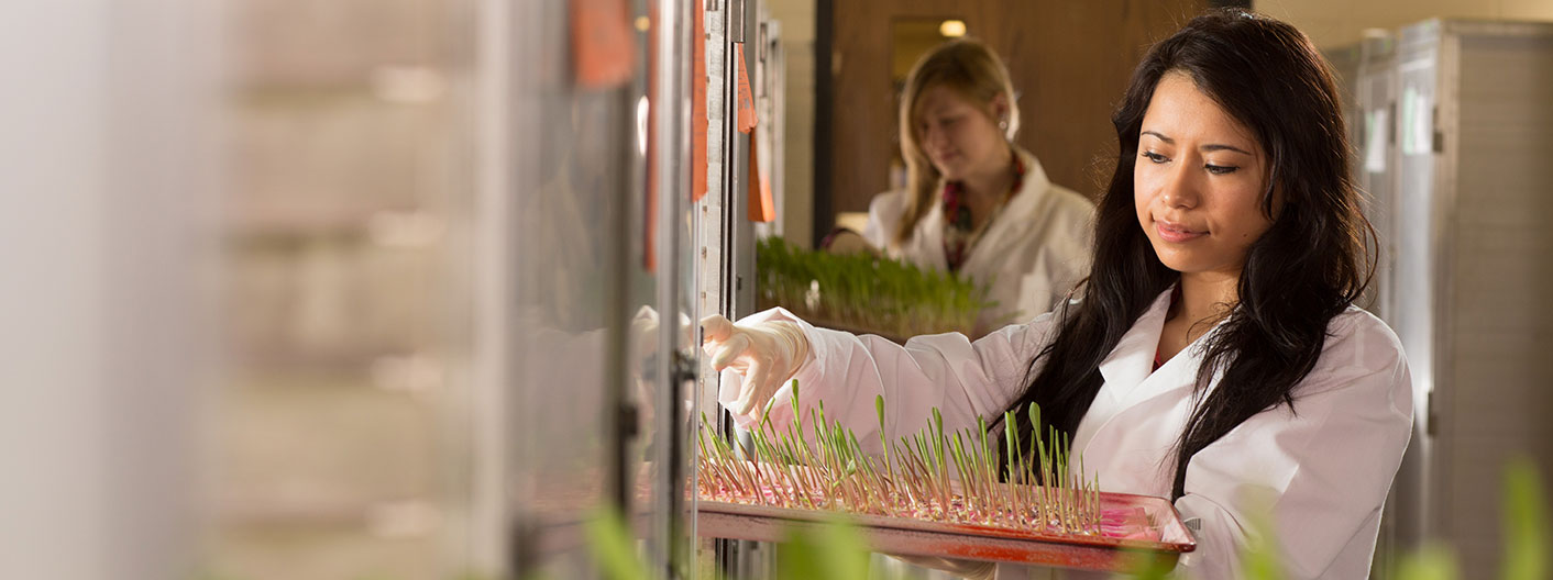 students with plant seedlings