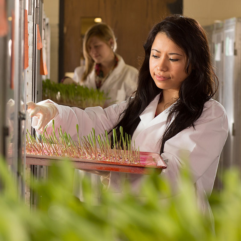 students with plant seedlings