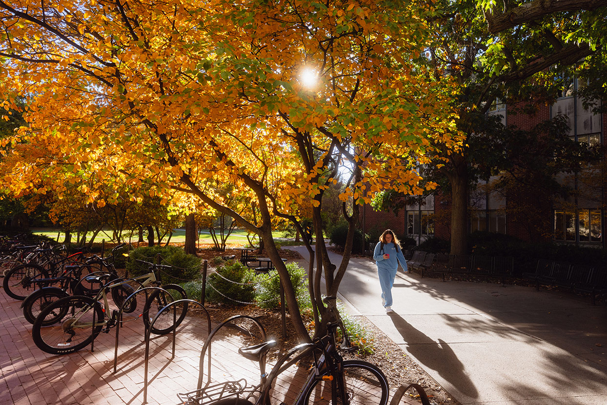 2024-10-24-COE-Fall-Color-Over-Marston-Path-feature-small