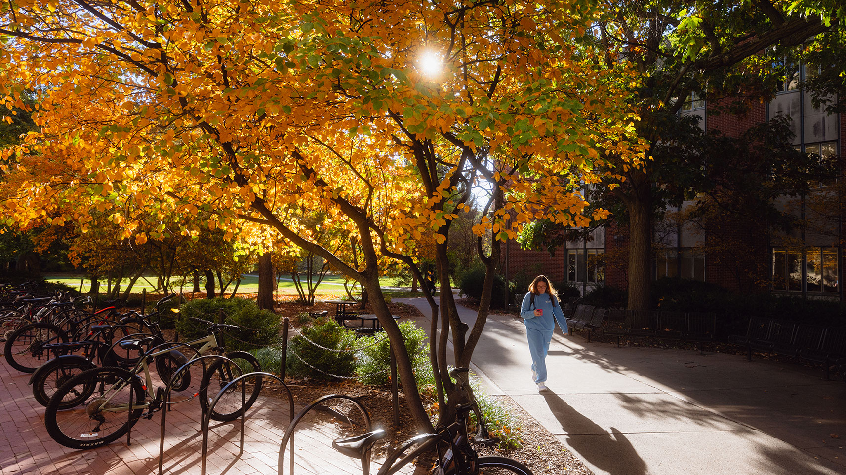 student walking campus sidewalk past bike racks and trees in fall colors