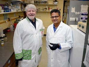 Iowa State’s Michael Wannemuehler and Balaji Narasimhan, left to right in a lab at the College of Veterinary Medicine, are working to develop nanovaccines. Narasimhan is holding a small vial of a nanovaccine formulation for pneumonia. Photo by Amy Vinchattle.