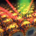 nanostructure sensor surface