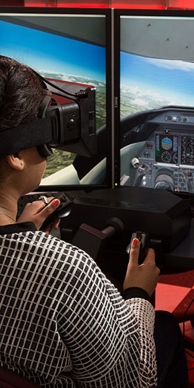 flight simulator