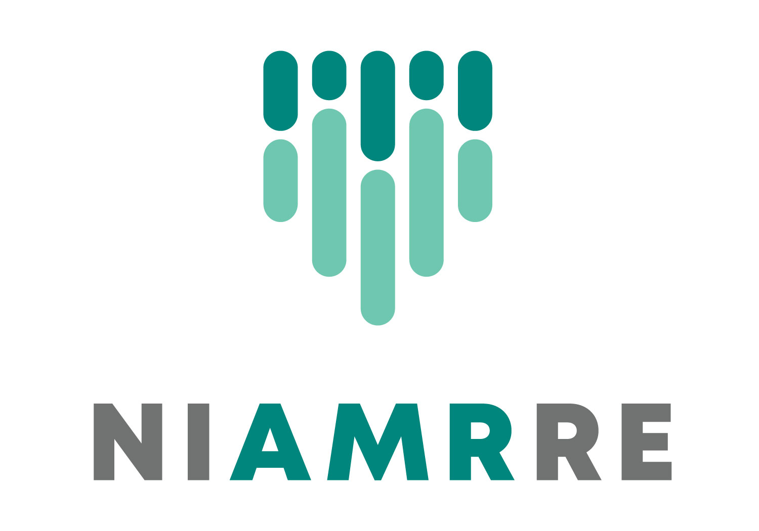 NIAMRRE Logo