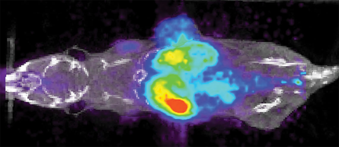 Spectroscopy image of immunoactive nanostars