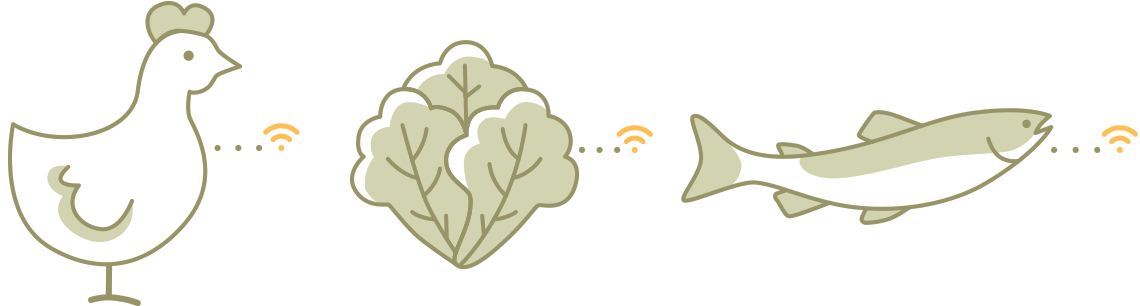 line art illustrating food sensors for chicken, lettuce and fish