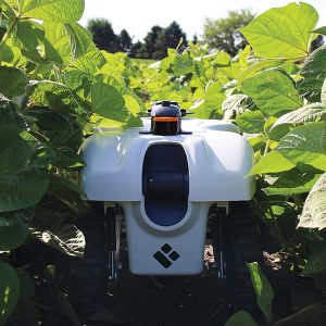 robot in soybean field