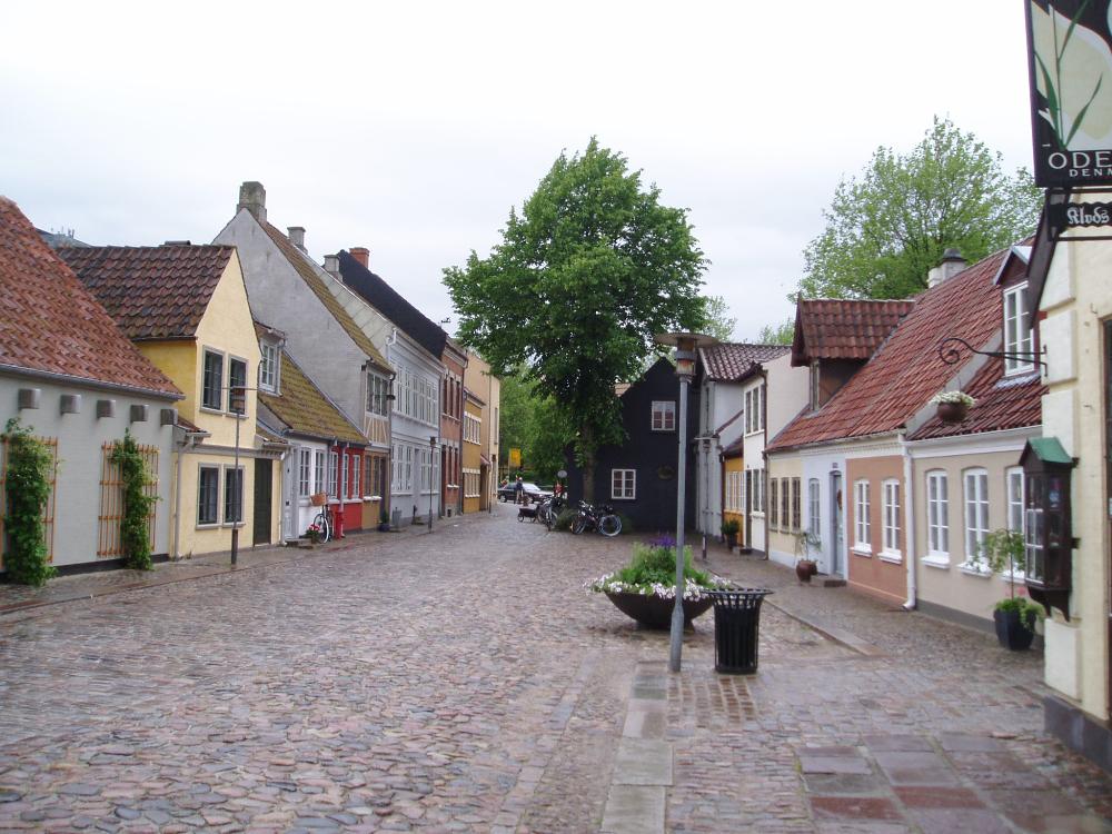 University of Southern Denmark (Odense)